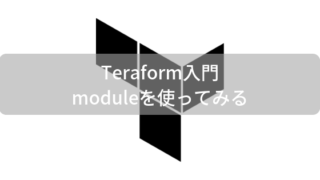 terraform module